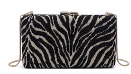 The Untamed Zebra