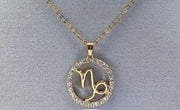 Rhinestone Zodiac Necklace